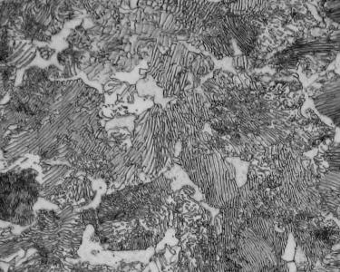 珠光体+铁素体 珠光体+铁素体